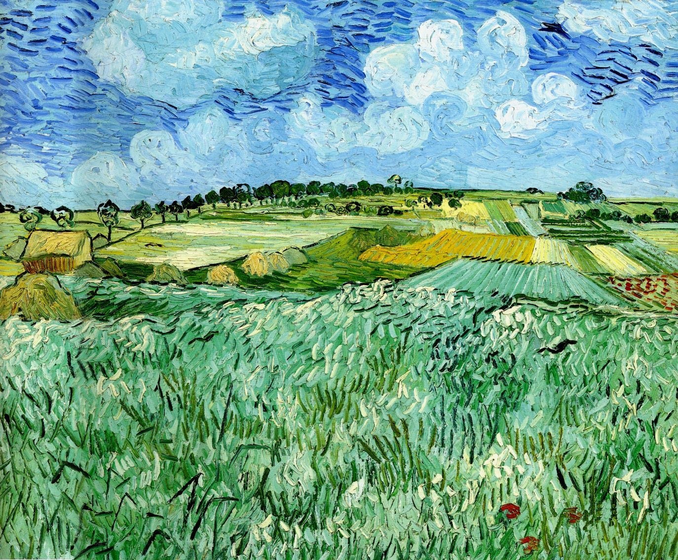 Wheat Field with Cypresses