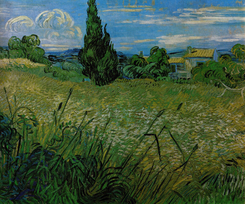 Wheat Field with Cypresses