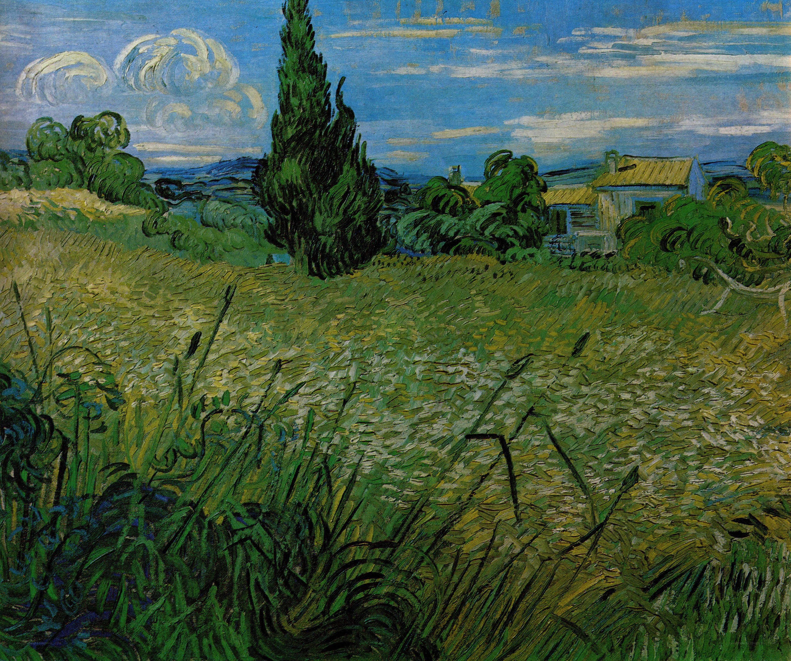 Wheat Field with Cypresses