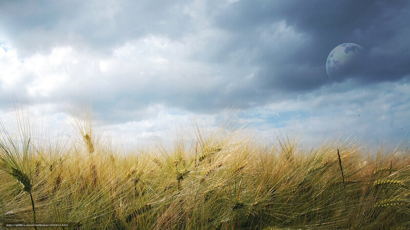 Wheat field with Earth in sky