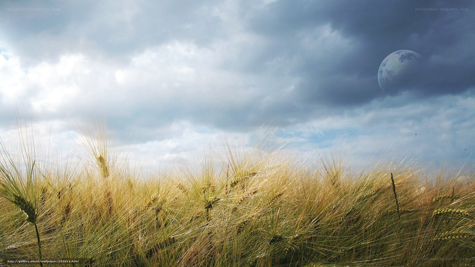 Wheat field with Earth in sky