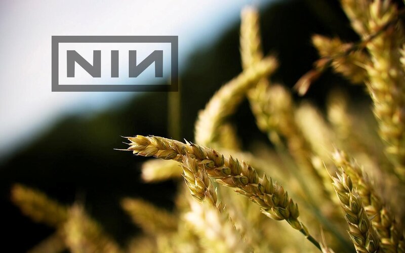 wheat field with logo