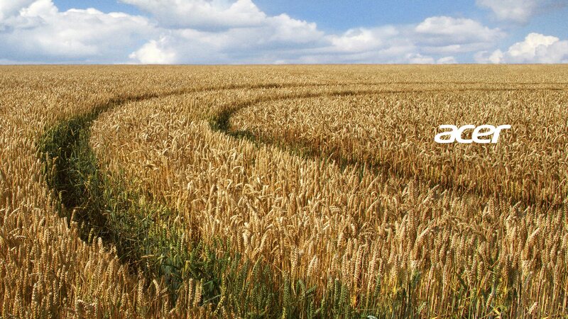 Wheat Field with Logo — Yellow