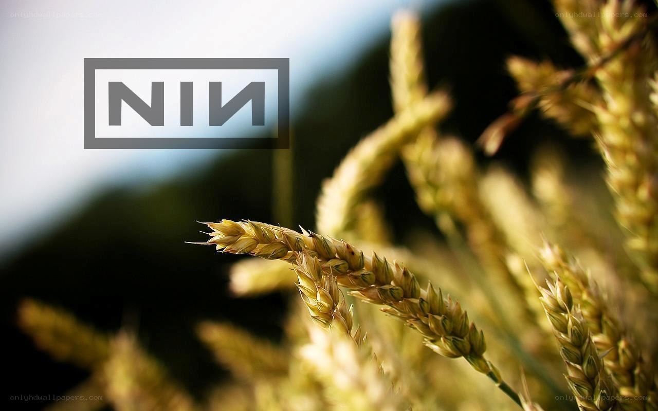 wheat field with logo