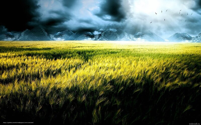 Wheat Field with Mountains — Yellow