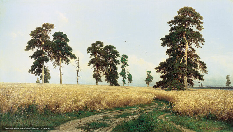 Wheat Field with Pine Trees