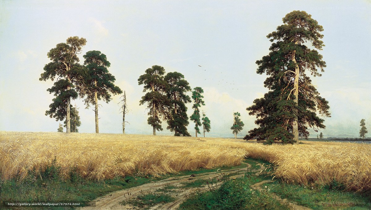 Wheat Field with Pine Trees