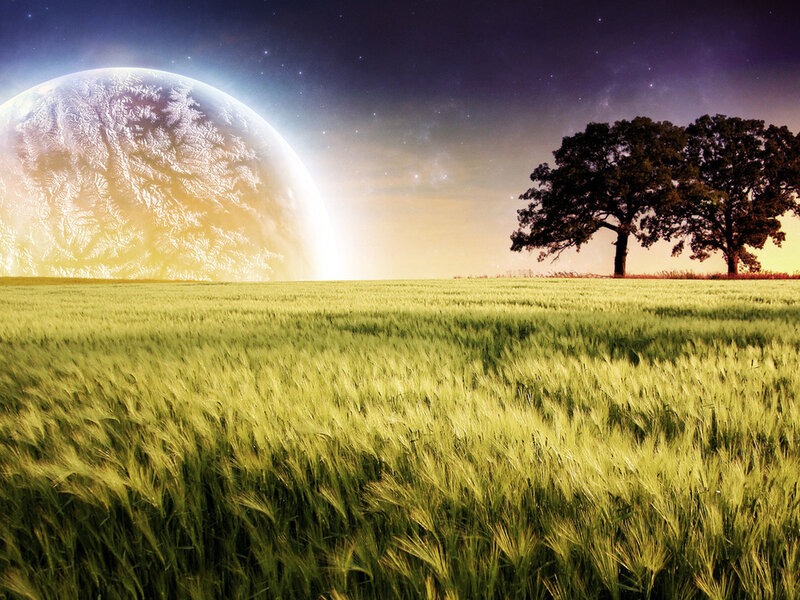 Wheat Field with Planet — Green
