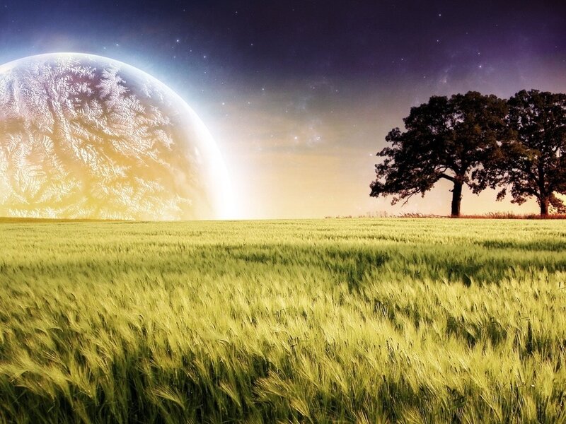 Wheat Field with Planet