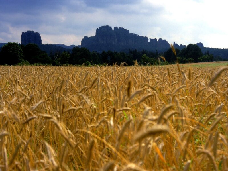 Wheat Field with Rock Formations