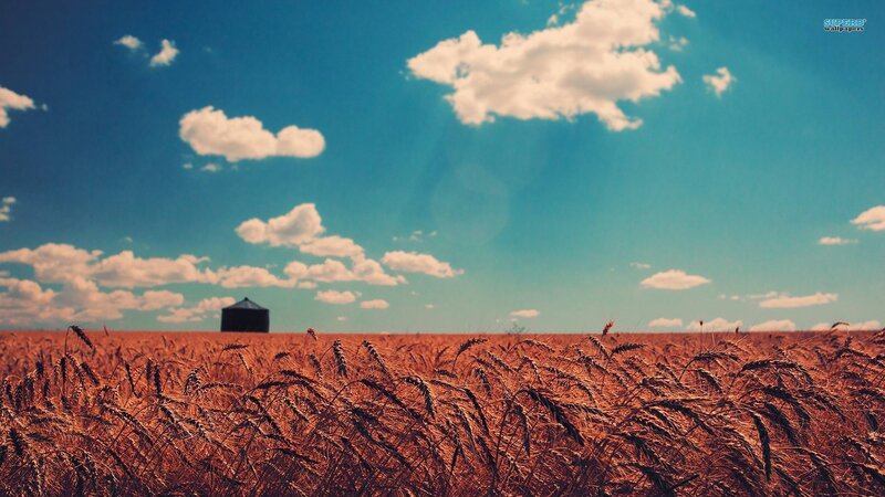 Wheat Field with Silo — Blue, Serene, Afternoon