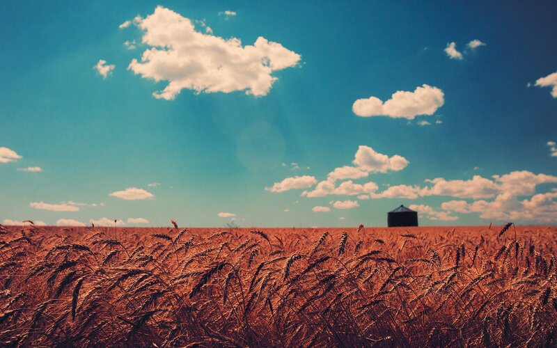 Wheat Field with Silo — Blue