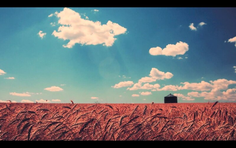 Wheat Field with Silo