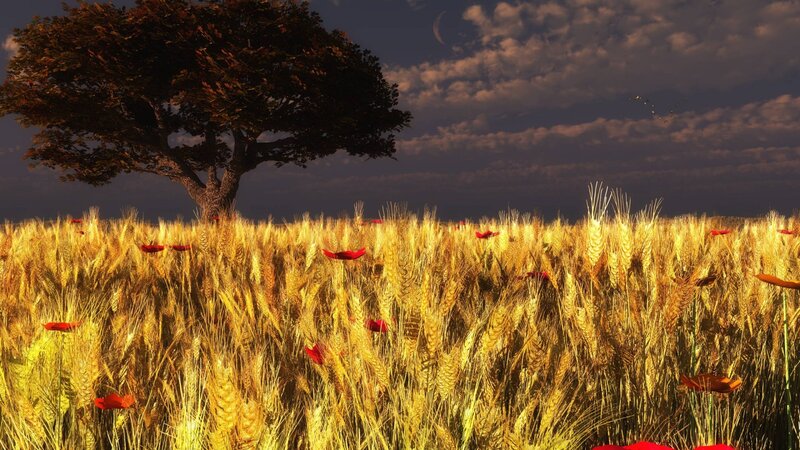 Wheat Field with Tree