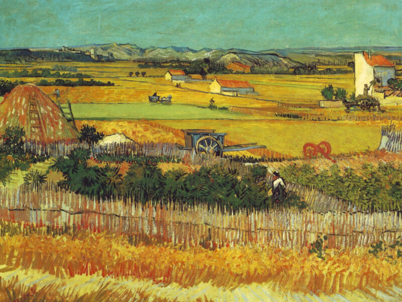 Wheat Fields with Farm