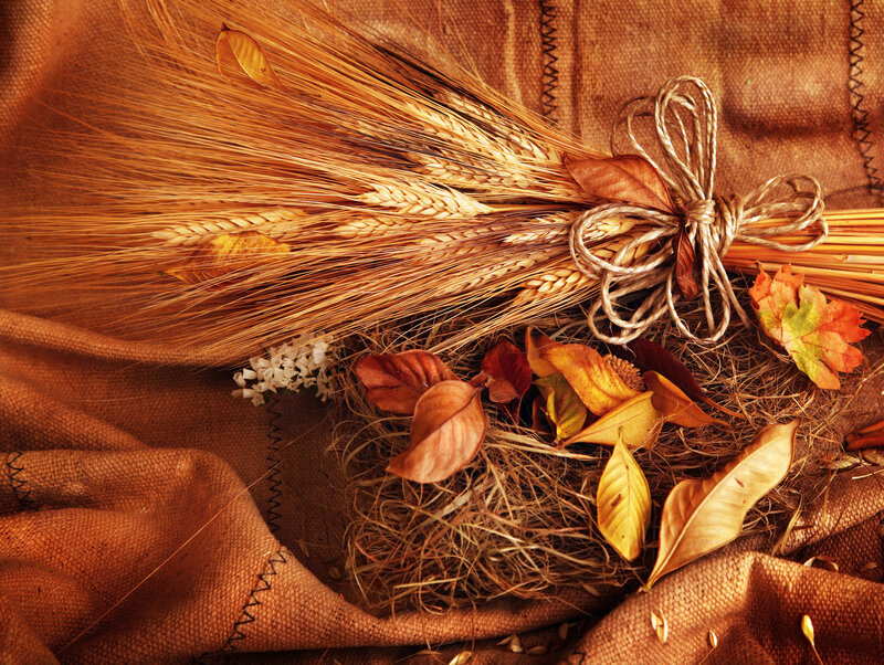 Wheat Sheaf with Autumn Leaves