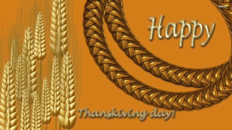 Wheat Stalks and Rope