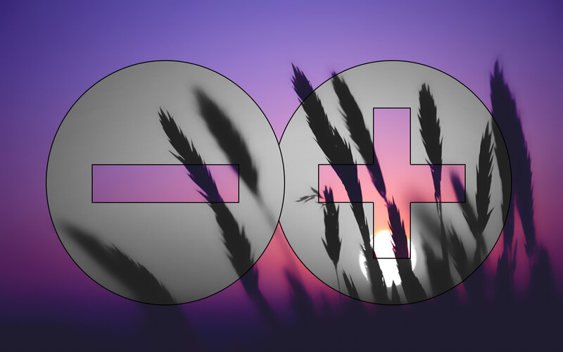 Wheat Stalks at Sunset — Purple, Dramatic