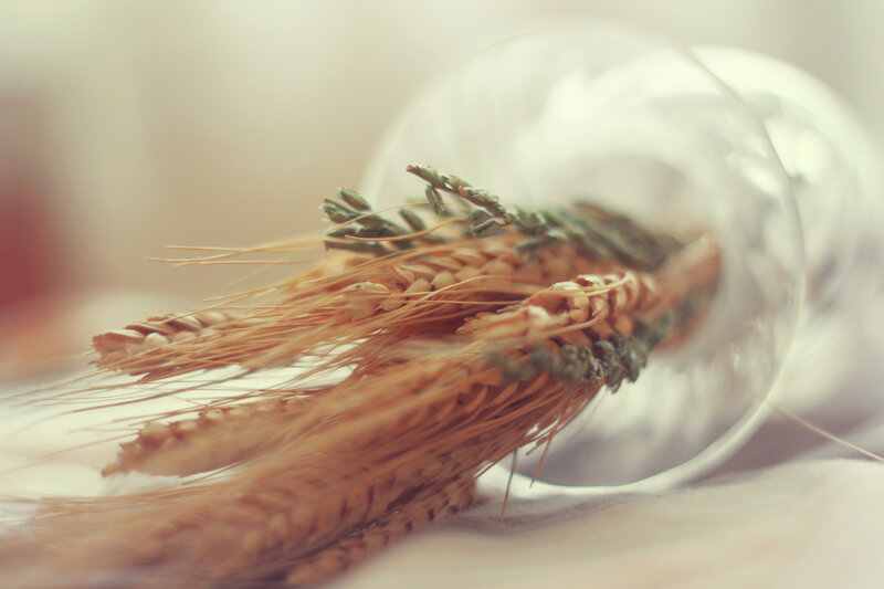 Wheat Stalks in Glass — Brown