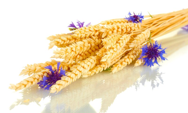 Wheat Stalks with Flowers