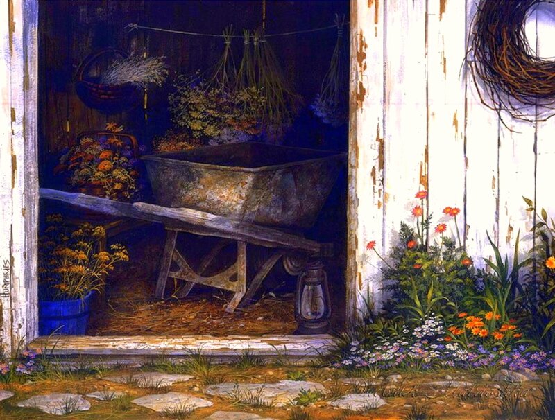 Wheelbarrow in Shed
