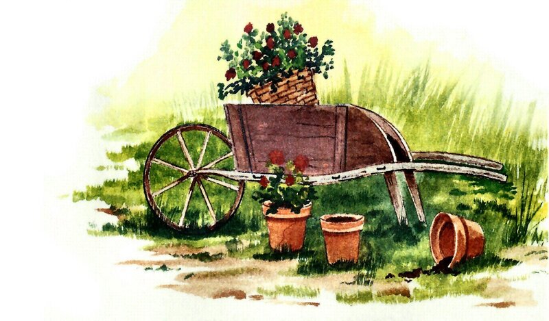 Wheelbarrow with Flowers — Green, Serene, Afternoon
