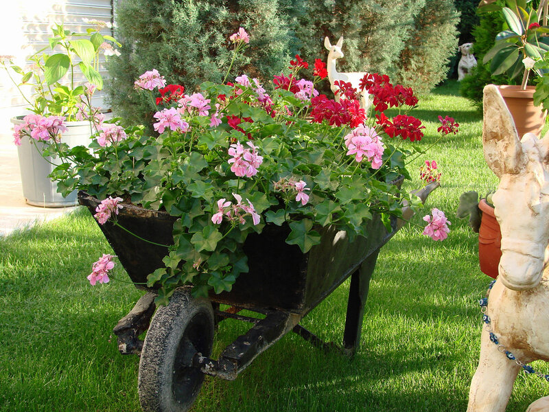 Wheelbarrow with Flowers — Green