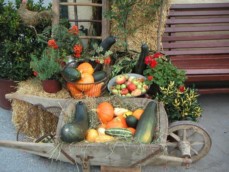 Wheelbarrow with Harvest