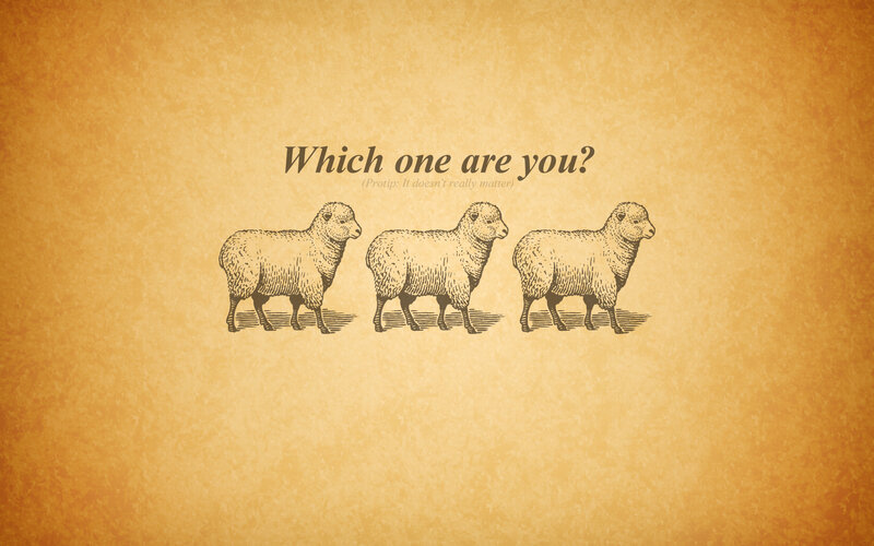 Which sheep are you?