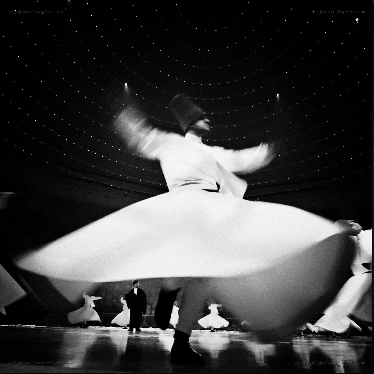 Whirling dervishes in motion