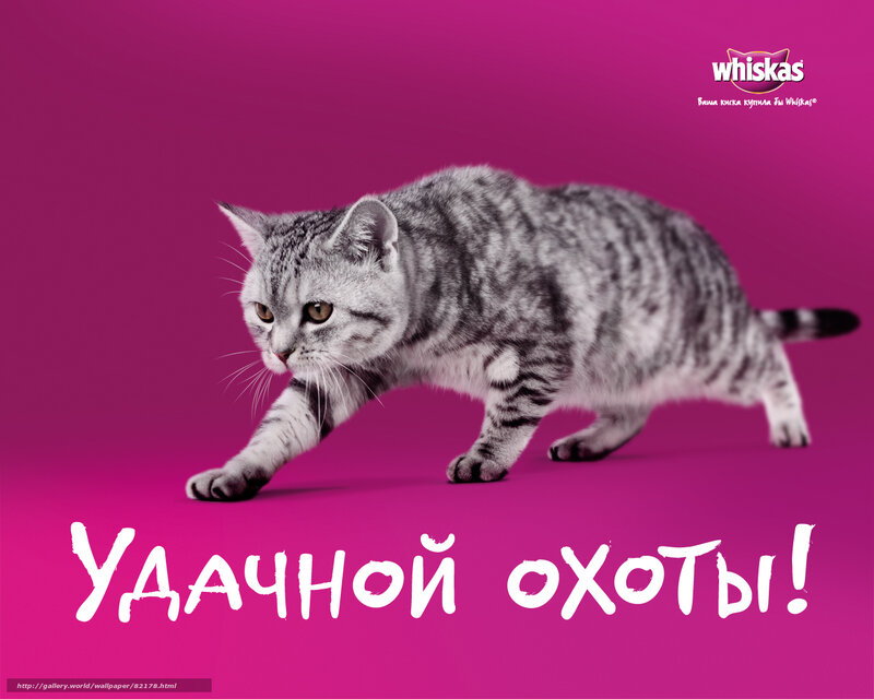 Whiskas cat advertisement