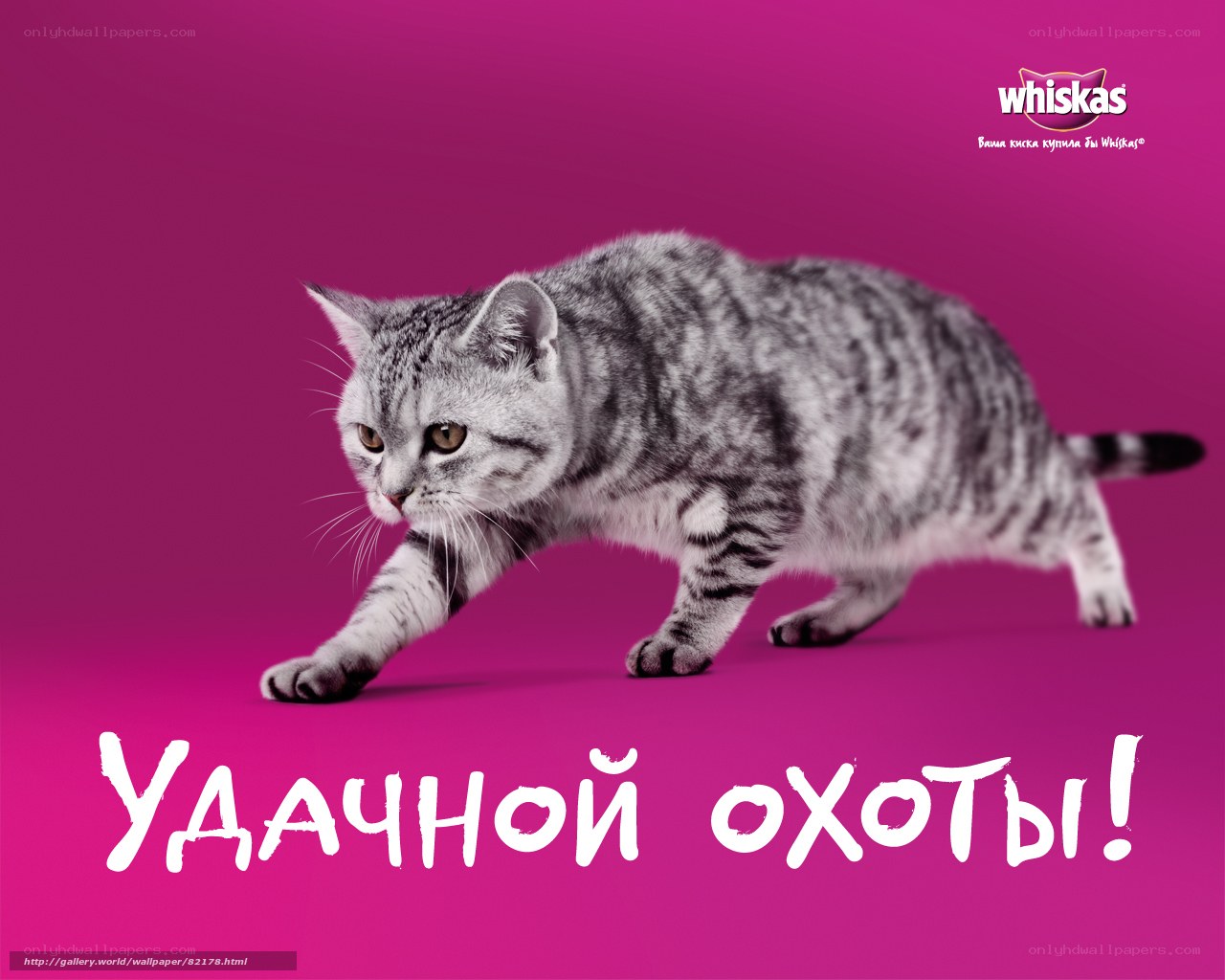 Whiskas cat advertisement