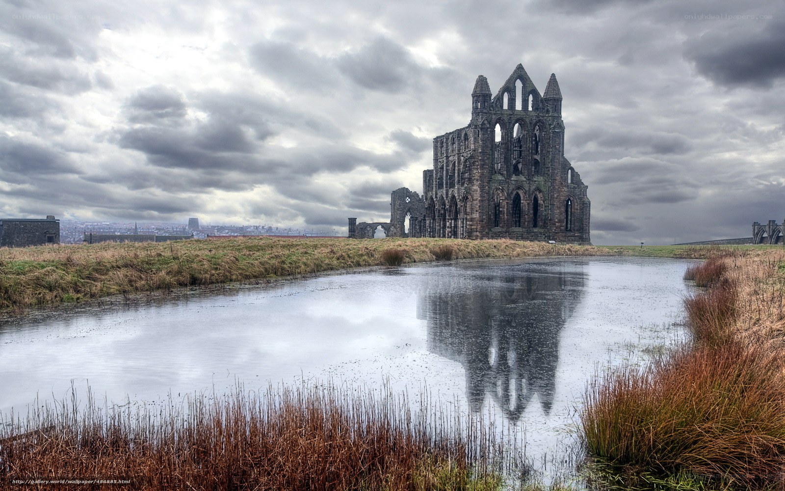 Whitby Abbey ruins