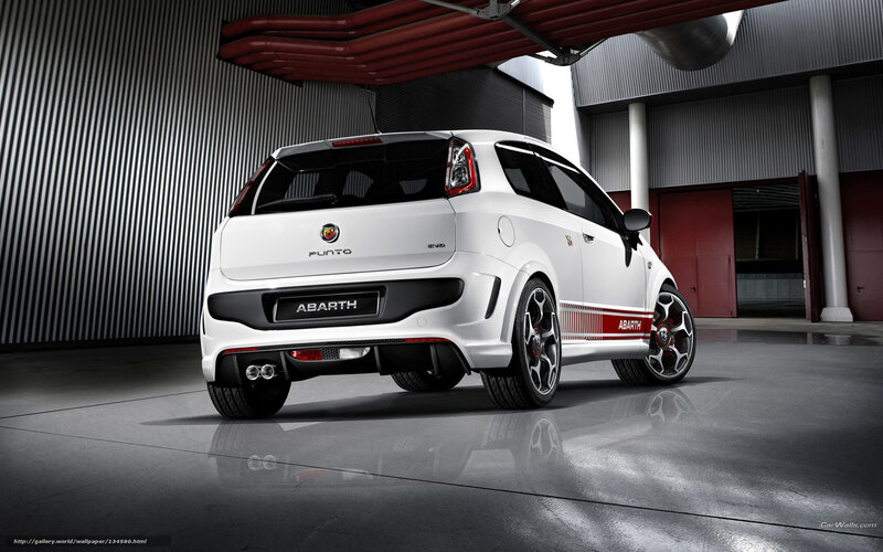 White Abarth Punto car