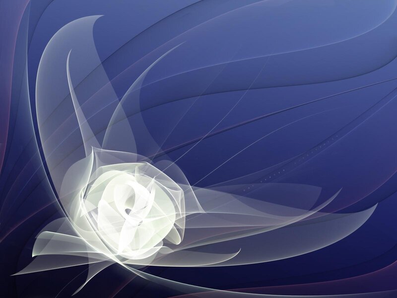 White Abstract Flower