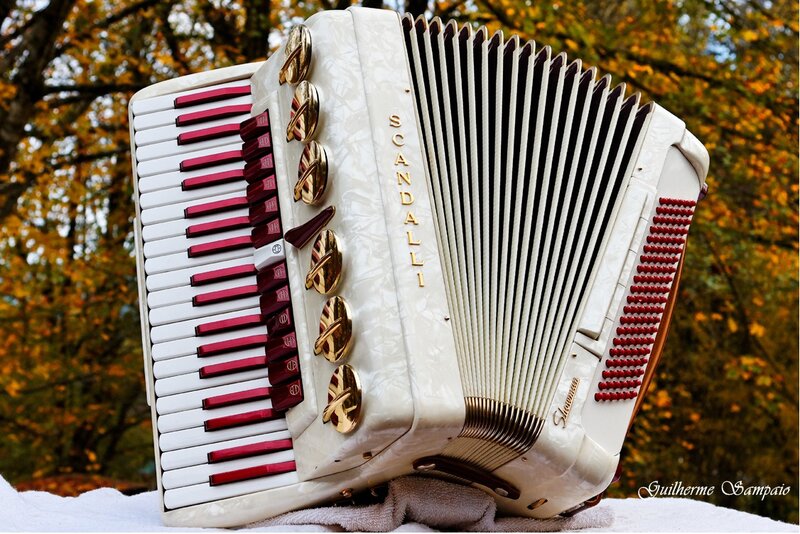 White Accordion