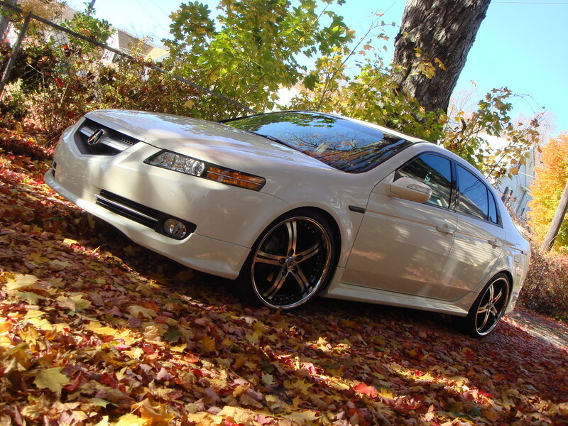 white acura in autumn leaves