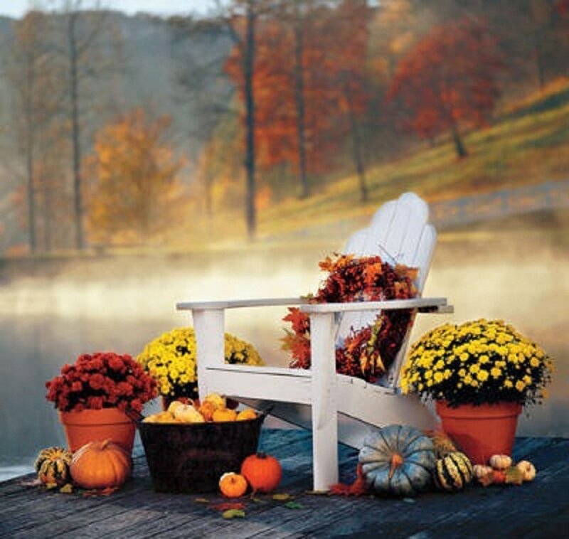 White Adirondack Chair