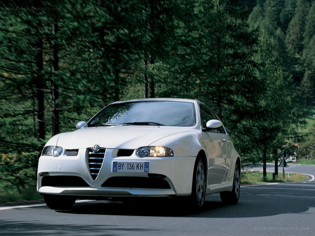 white alfa romeo on forest road