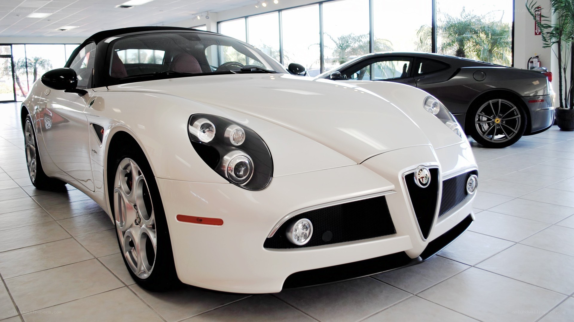 White Alfa Romeo Spider