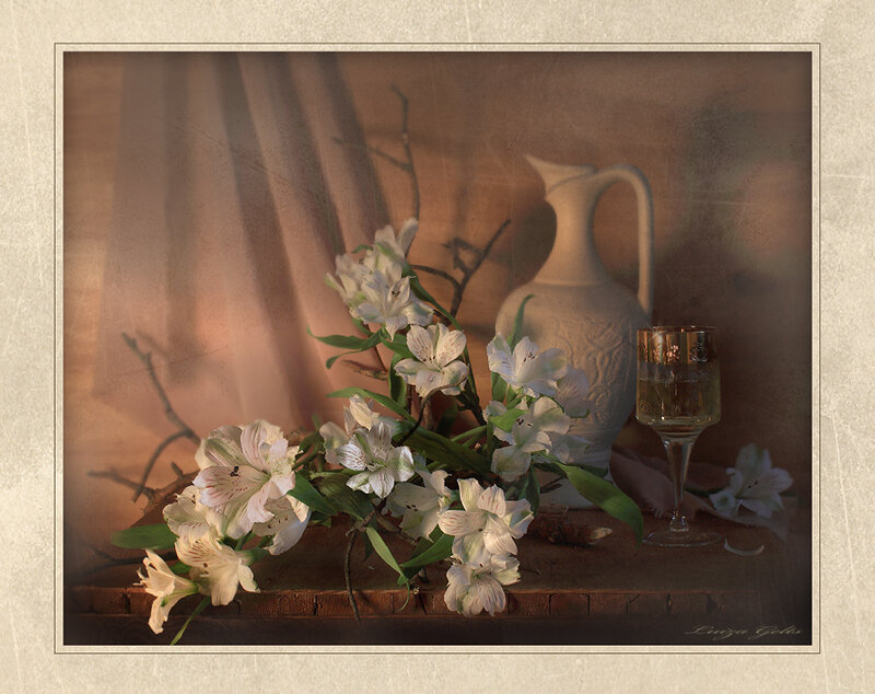 White Alstroemeria Flowers — Brown