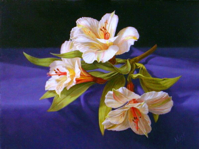 White Alstroemeria Flowers — Purple