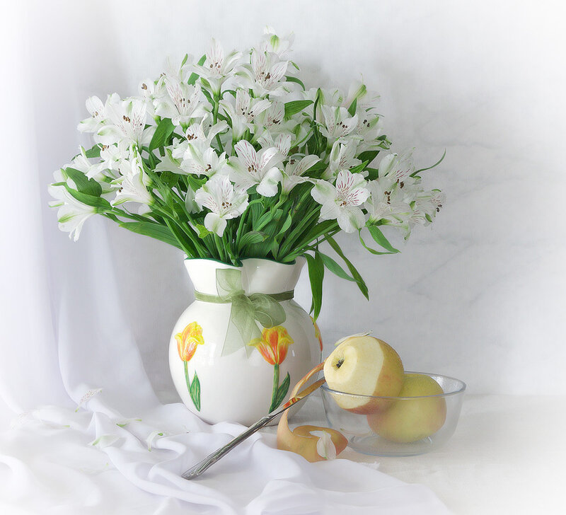 White Alstroemeria Flowers — Serene