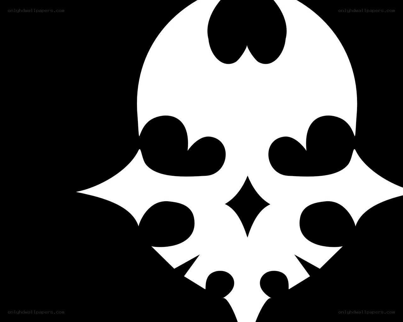 white and black abstract design
