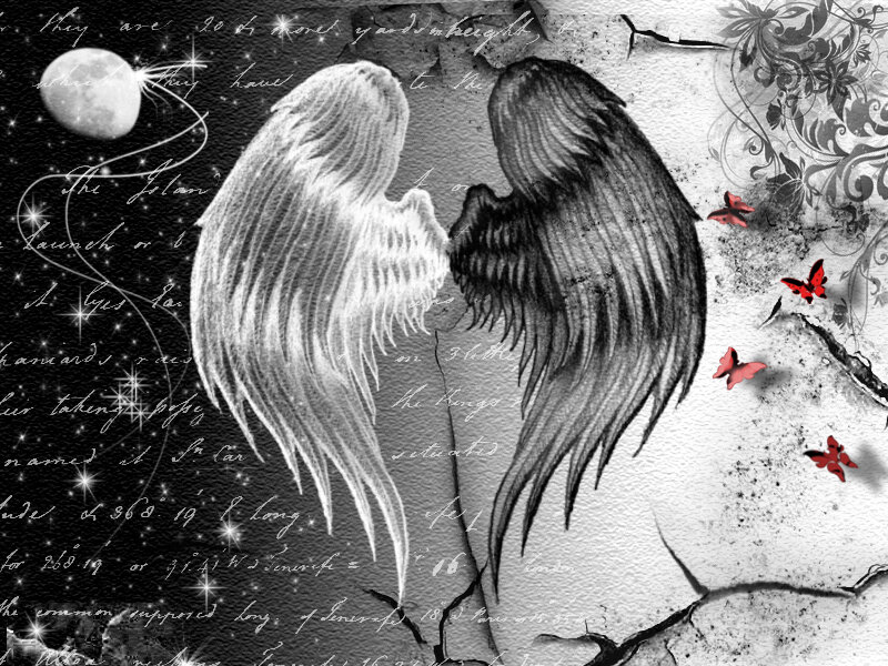 White and Black Angel Wings