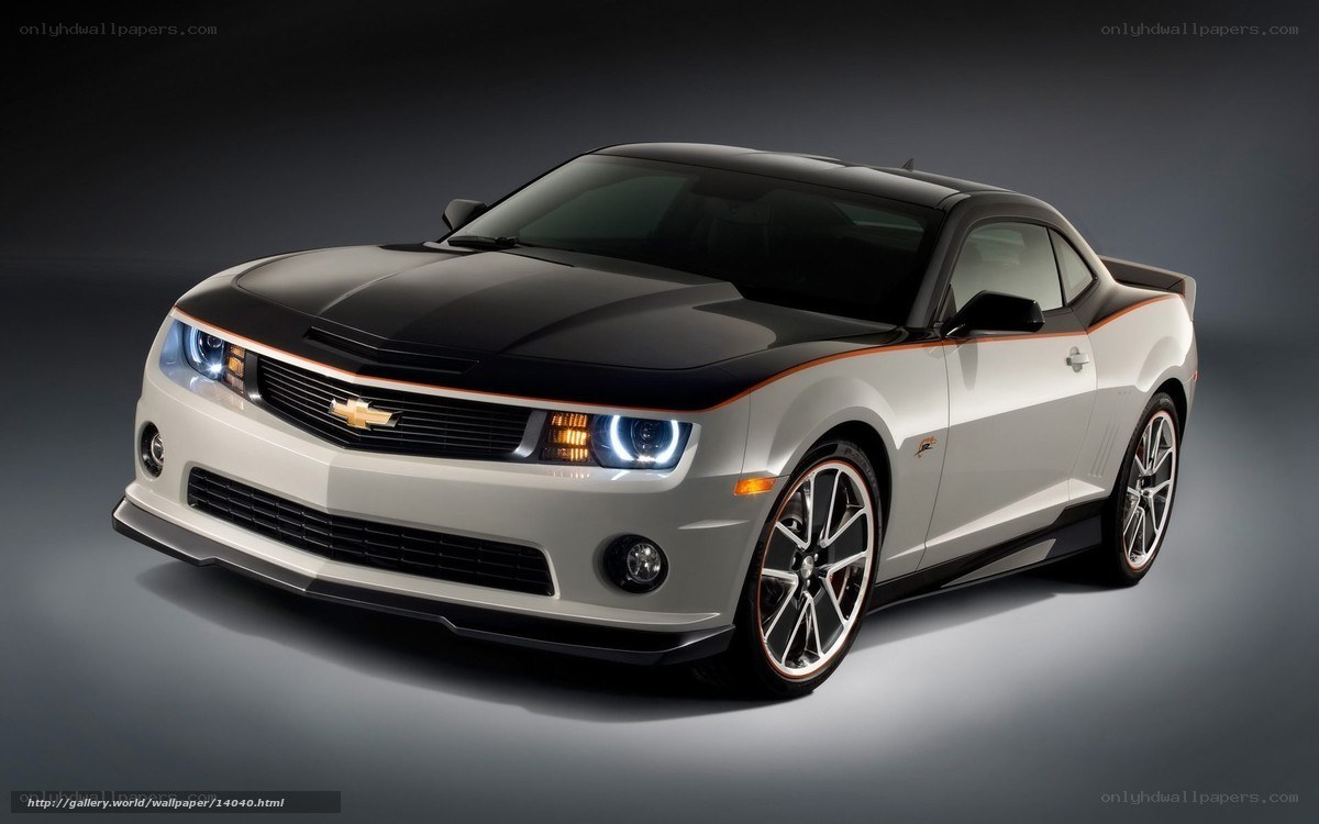 white and black camaro car