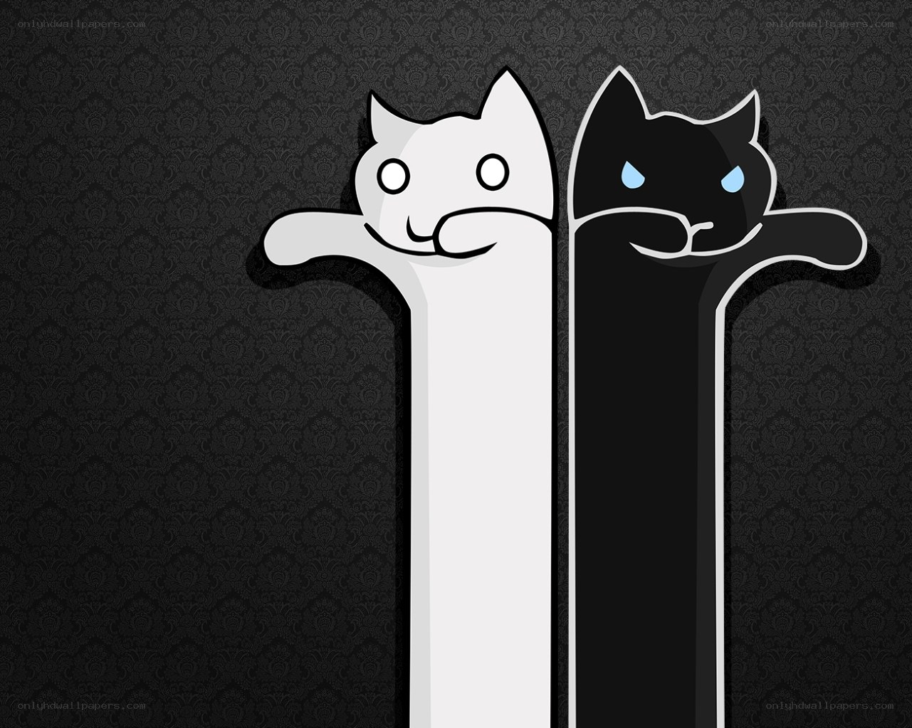 white and black cat characters
