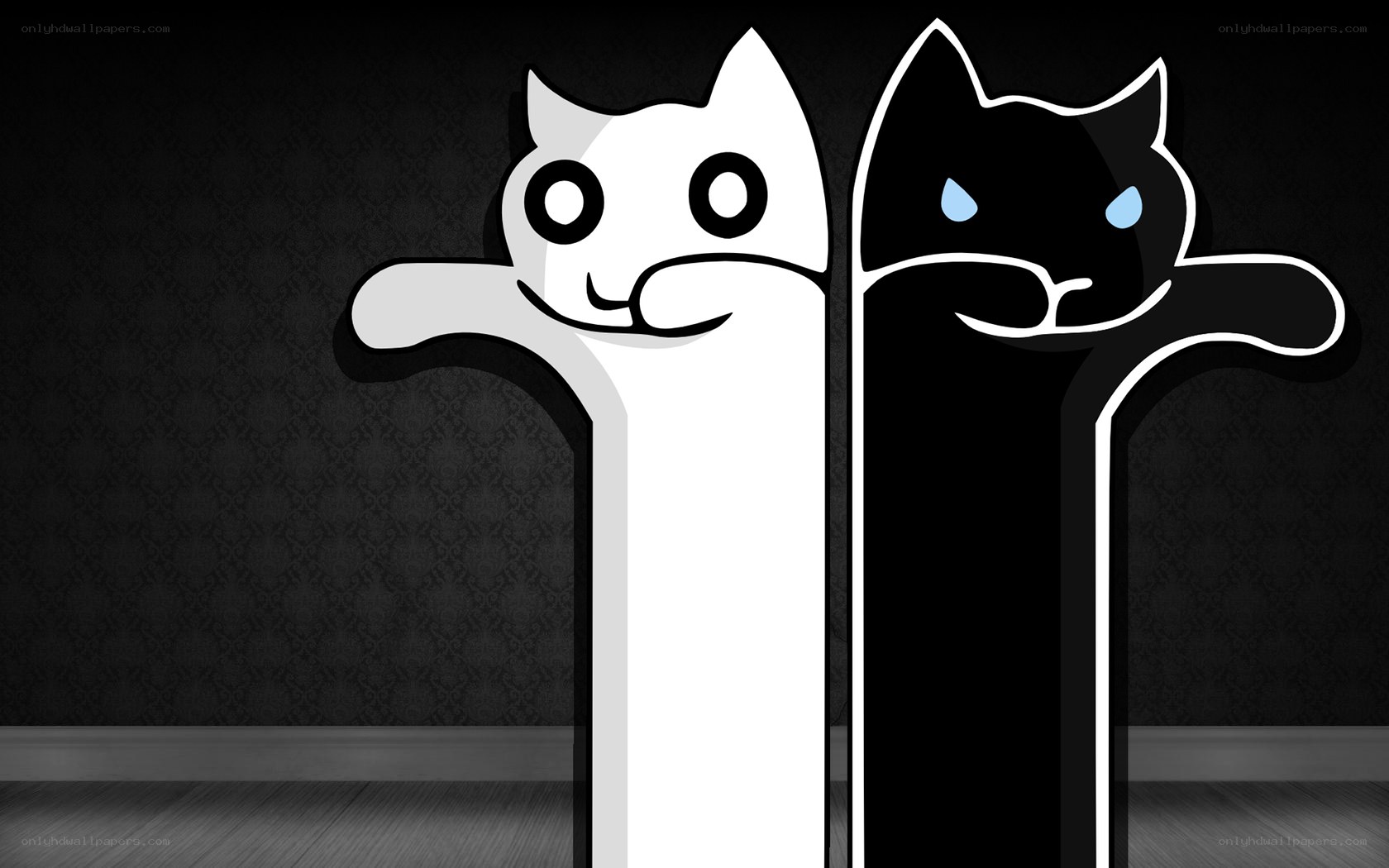 White and Black Cat Characters
