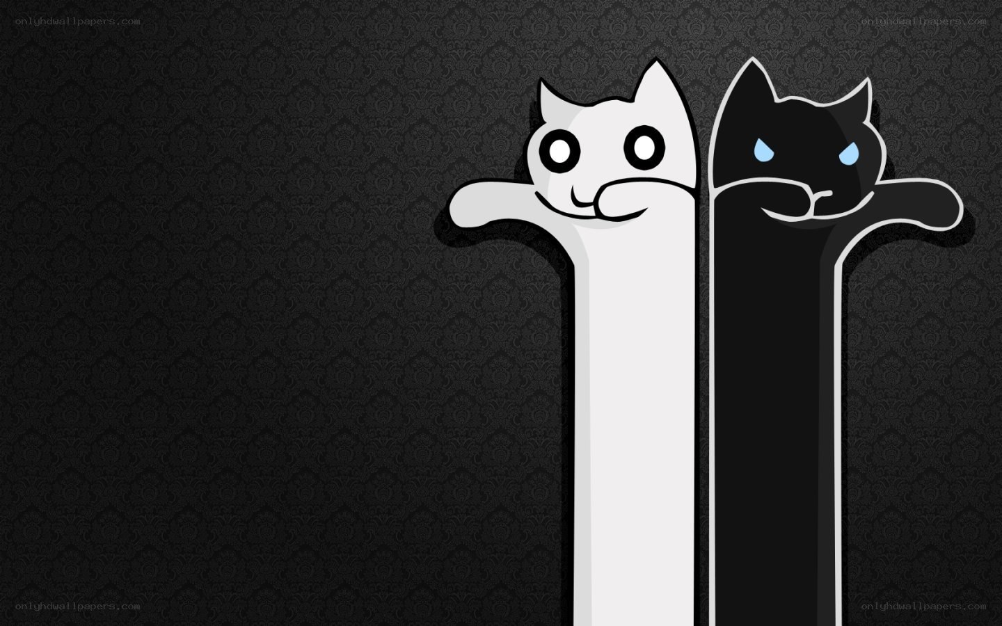 white and black cat characters