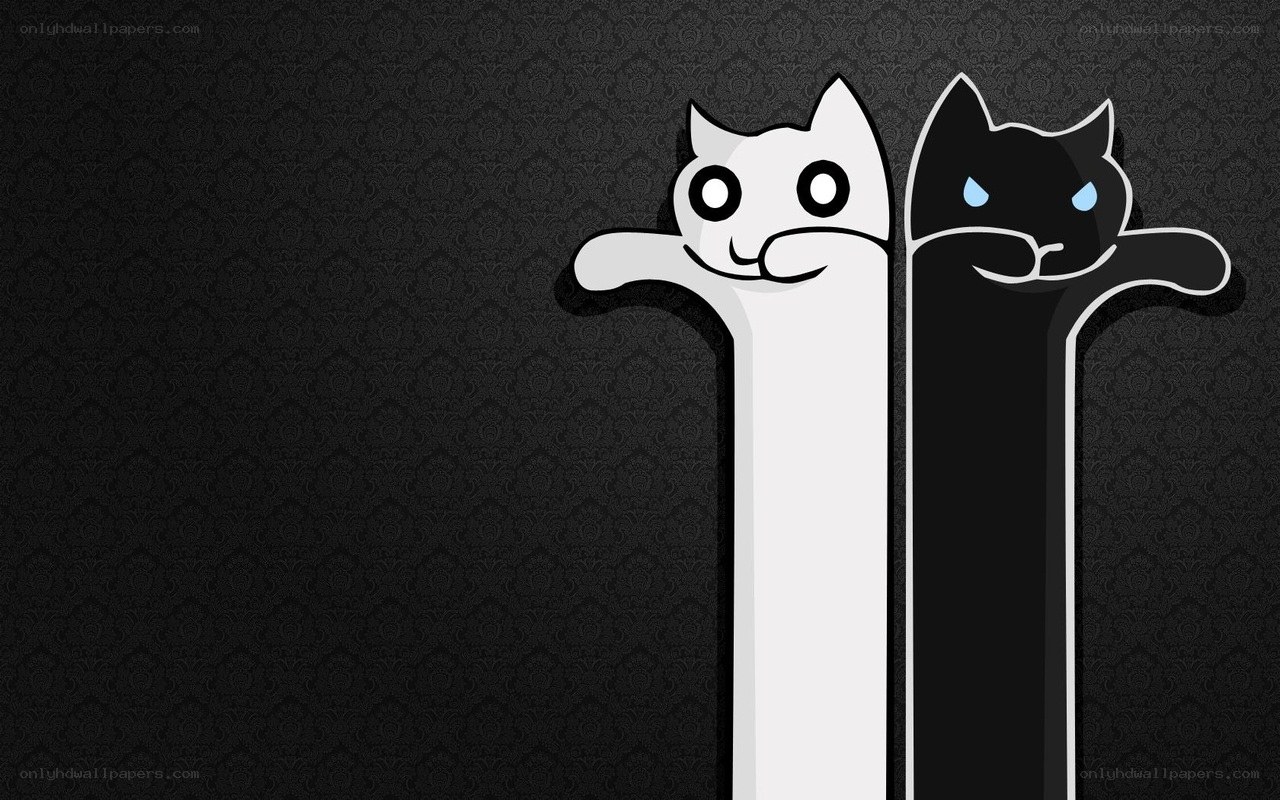 white and black cat characters